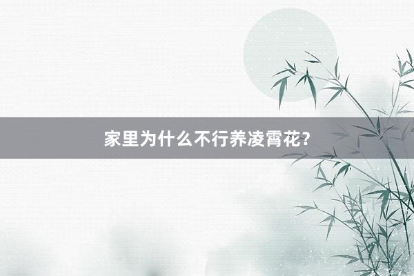 家里为什么不行养凌霄花？