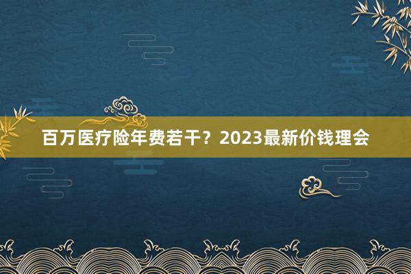 百万医疗险年费若干？2023最新价钱理会
